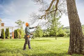 Best Hazardous Tree Removal  in Live Oak, FL